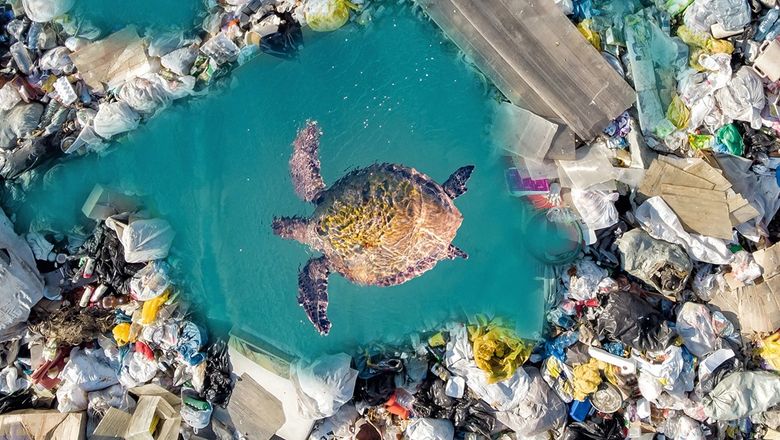 In Bali, tourism is causing waste management issues, with only 48% properly handled. Over 33,000 tonnes of plastic annually pollutes ecosystems, straining infrastructure.
