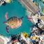 Travel industry alert: Destinations battling tourism challenges in 2025